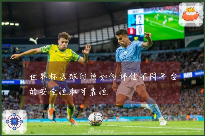 世界杯买球时该如何评估不同平台的安全性和可靠性