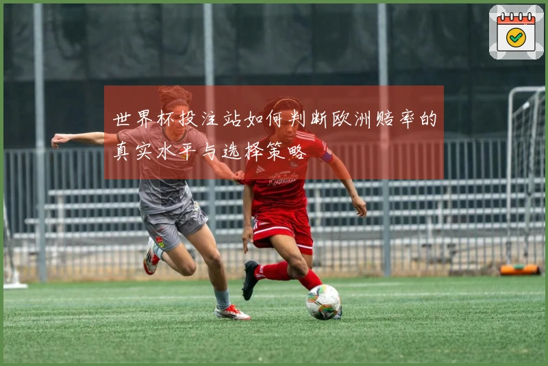 世界杯投注站如何判断欧洲赔率的真实水平与选择策略