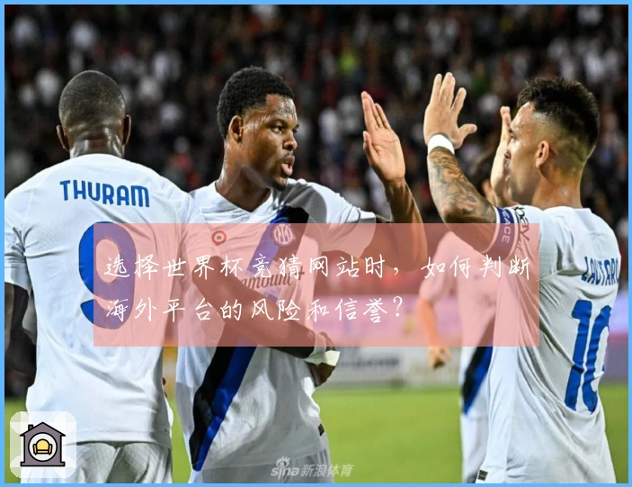 选择世界杯竞猜网站时，如何判断海外平台的风险和信誉？