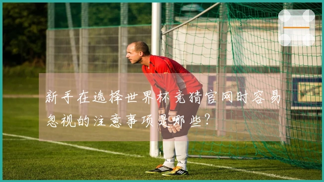 新手在选择世界杯竞猜官网时容易忽视的注意事项是哪些？